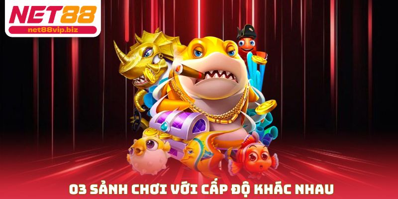 03 sảnh chơi với cấp độ khác nhau