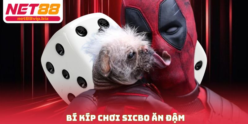 Bí kíp chơi sicbo ăn đậm