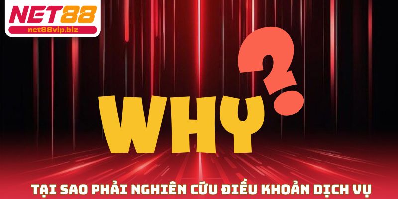 Tại sao phải nghiên cứu điều khoản dịch vụ